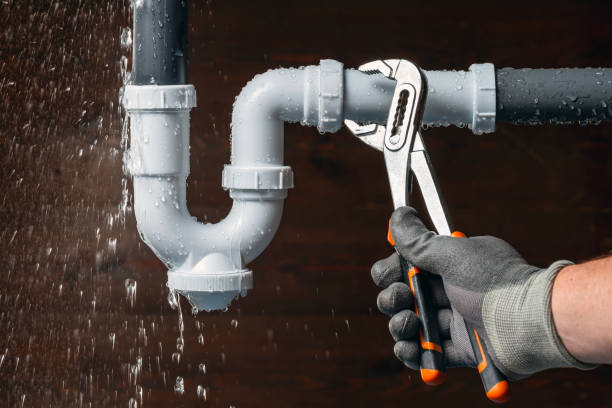 Professional Plumbing technician working in Alamo, IN